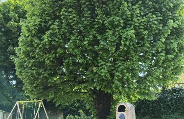Gîte des Gones Maison 3 étoiles 10 personnes Jardin Lyon Eurexpo - Foto 10