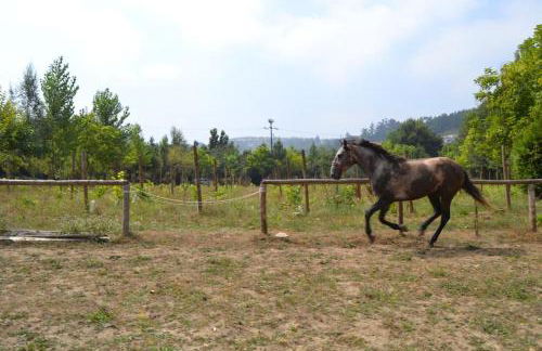 Quinta do Mosteiro - Foto 4