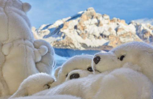 Mi Chalet - Photo 12