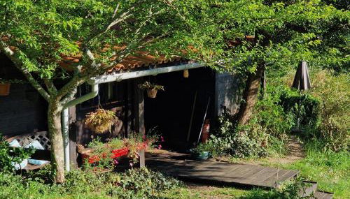 O Cantinho de Coura - a cabana - Foto 3