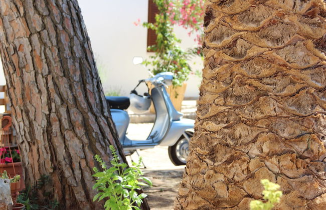 Masseria Valente - Photo 30