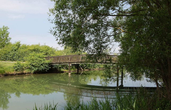 Holiday Home in Otterndorf - Foto 6