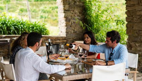 Quinta de Santa Júlia - Photo 3