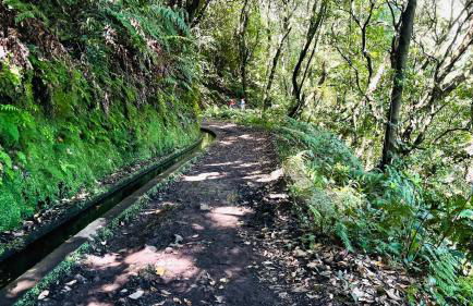 Porto Moniz Villa - Foto 48