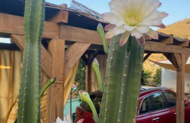 Casa Rural Zinho - Foto 12