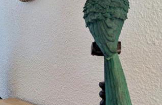 Studio Duplex le Jungle - Bourgoin Centre - Foto 2