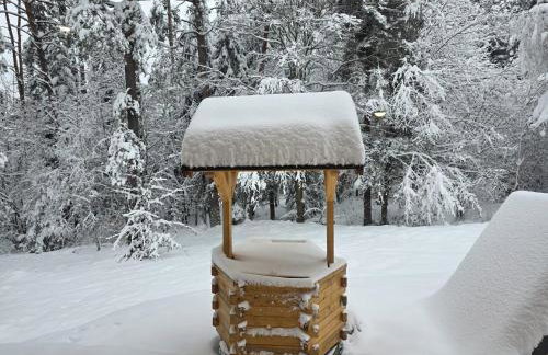Smerekowiec Domek w lesie - Beskid Niski - Foto 58