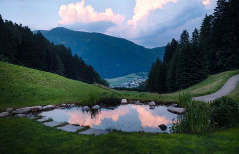 Burgfrieder Mühle - Photo 40