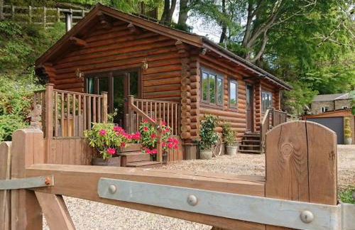 Howburn Log Cabin - Foto 1