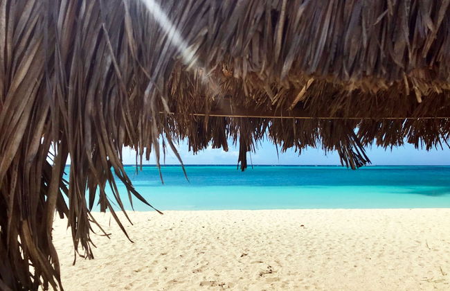 The Palm Leaf Apartments - Foto 41