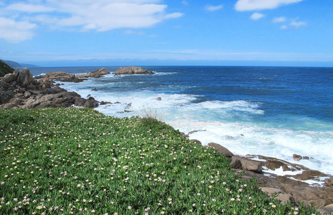 La Pinède, bungalow 6 pers. - Photo 24