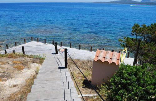 La tartaruga - Photo 16