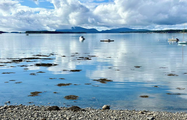 Lucky Stone Retreat - Private Beach & Acadia View - Photo 17