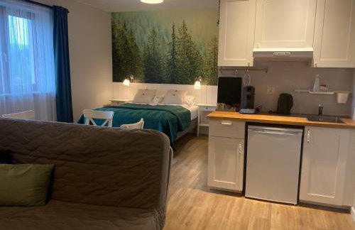 Apartamenty Black Lion - Foto 78