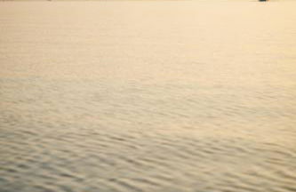 Beim Mühltaler II - Photo 29