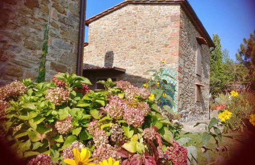 Agriturismo Botro - Foto 5