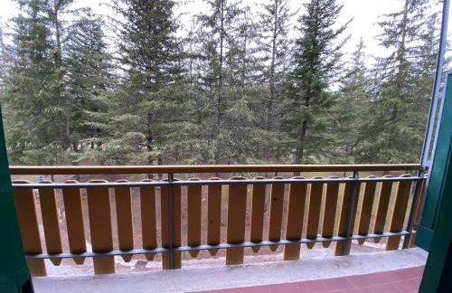 Appartamento in Residence - Parco Nazionale d'Abruzzo - Foto 11