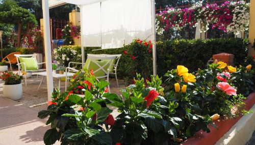 Residence Hotel Vittoria - Foto 3, Garden view