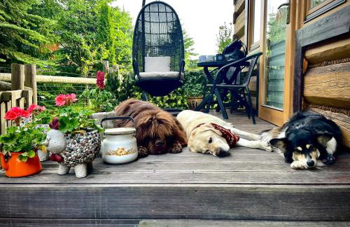 Apartament Kierunek Tatry - Foto 19