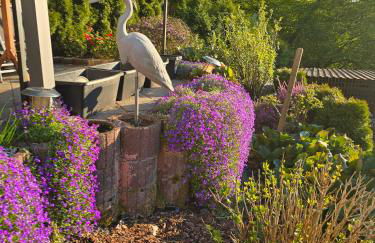 Ferienwohnung-Pension Osterwiese - Foto 13