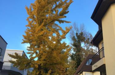 Am Strandweg - Foto 11