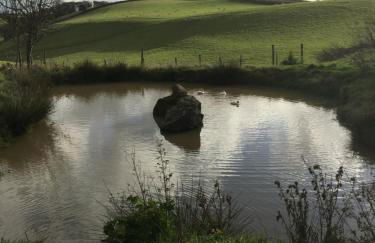 Creber Cottage - Foto 42