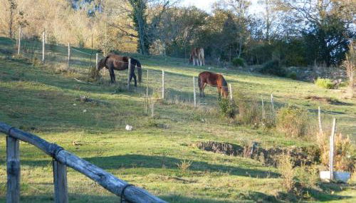 Casa Gruppetta - Foto 4