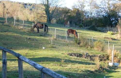 Casa Gruppetta - Foto 4