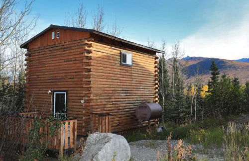 Denali Park View Family Log Cabin - Photo 14