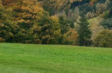 Schnucki Lautenthal - Foto 6