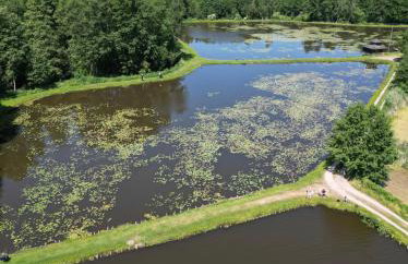 Dom w lesie przy stawach - Foto 52