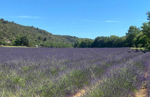 Le Petit Paradis Provençal - Foto 39