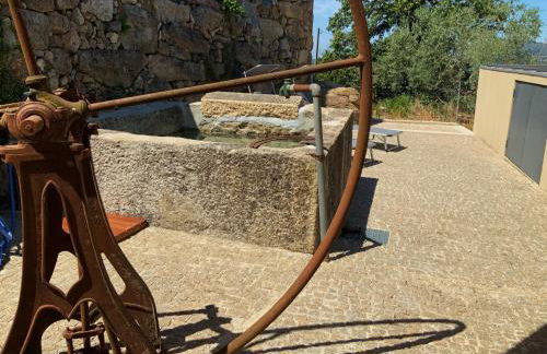 Casa da Zéfinha, em Cinfães, no Douro - Foto 35