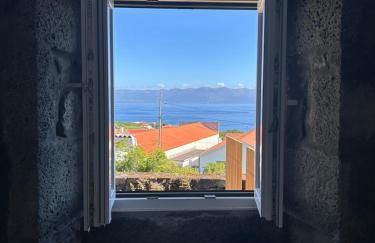 Cá Por Casa Pico-Criptoméria - Photo 9