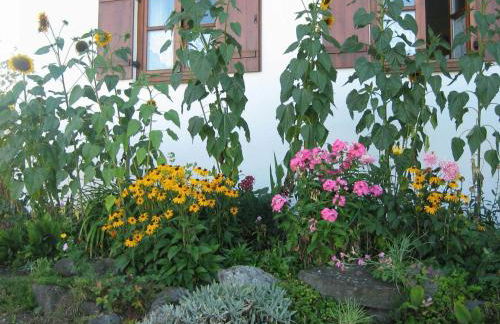 Apartment in the Allgau With View of the Bavarian Alps - Photo 52