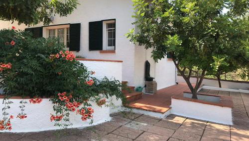 Villa Il Carrubo - Basilicata - Foto 1