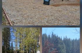 The Cozy Knotty Pine Enchantment Retreat - Foto 31