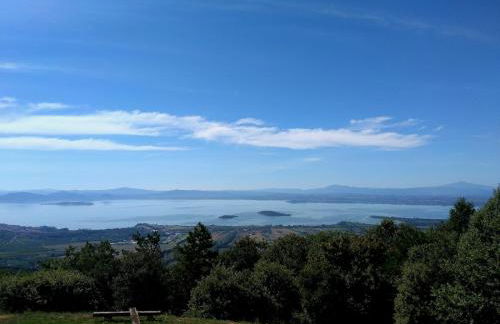 GuestHost - Casa vacanze - La quercia del Re - Foto 29