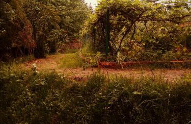 Agroturystyka u Babci - Photo 45