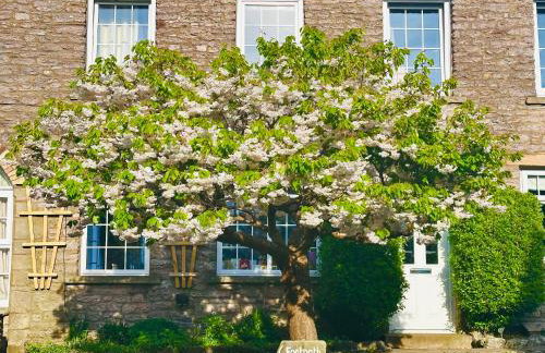 Muddy Boots-Arcade Royale - Photo 9