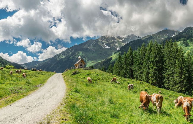 Chalet in Kitzbuhel Alps Near Hiking Trails - Foto 25