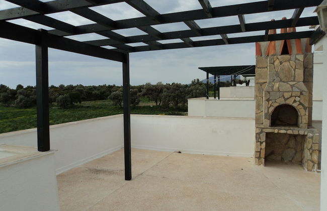 Site Soley - Foto 11