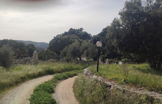 Il nuraghe - Foto 62