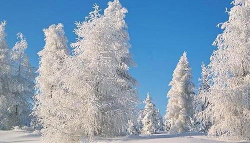 Haus Hennecke - Foto 3