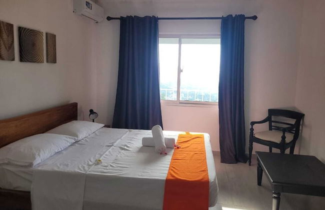 Wild Vanilla Apartment - Photo 4