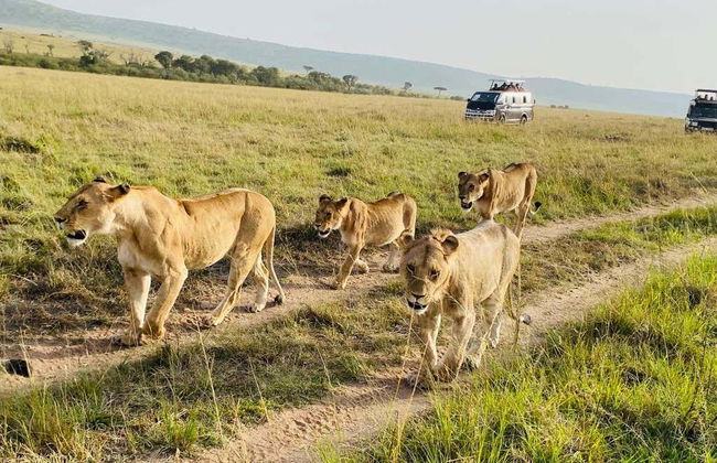 Safari de 3 días por Masái Mara - Foto 2