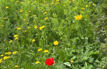 Gemütlich wohnen in Blankenstein am Rennsteig - Foto 26