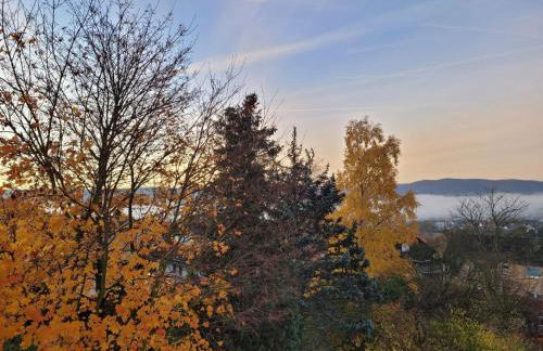 Ferienwohnung Grüner Horizont - Foto 13