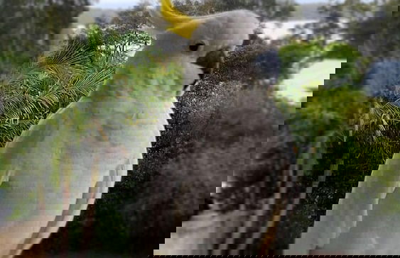 Raffertys Resort - Foto 38