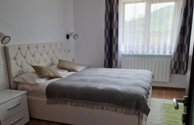 Bucovina-mountainhouse-5br-fireplace-hottub-wifi - Foto 2